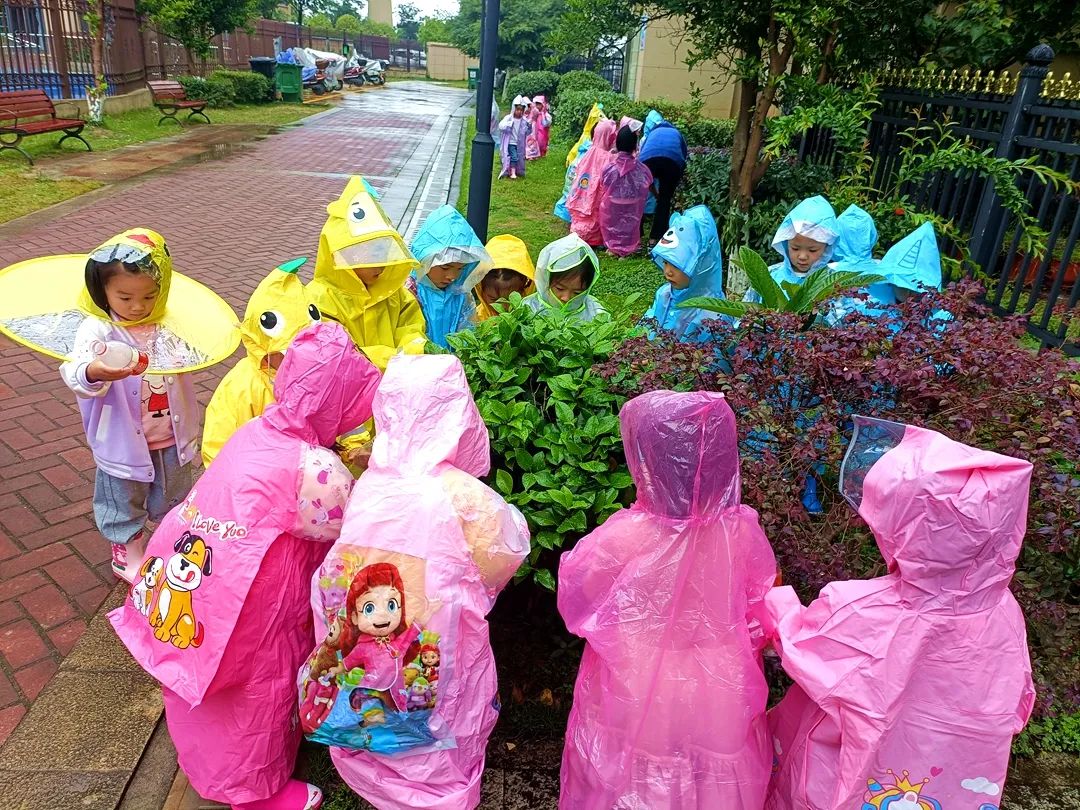 d6d81cb671bf59dce254d15df2da9ac5.jpg d6d81cb671bf59dce254d15df2da9ac5.jpg