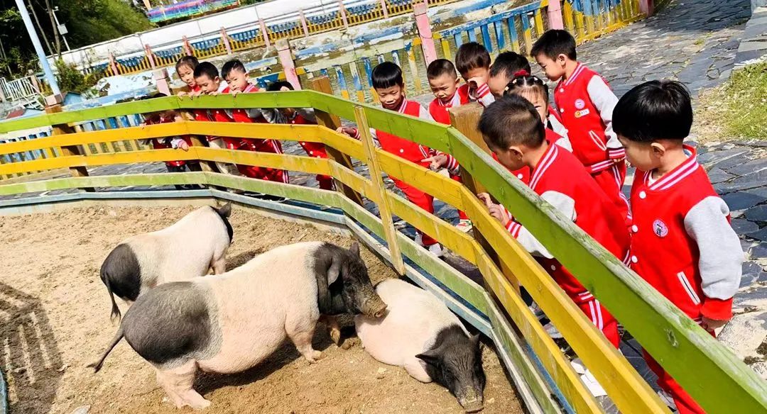 e62c91e0229f2d0aae3e69b471ba41b6_640_wx_fmt=jpeg&wxfrom=5&wx_lazy=1&wx_co=1.jpg e62c91e0229f2d0aae3e69b471ba41b6_640_wx_fmt=jpeg&wxfrom=5&wx_lazy=1&wx_co=1.jpg