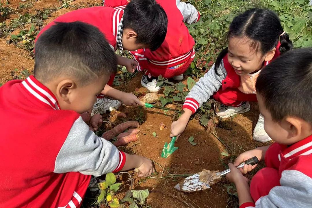 1d252d037bff6e641715d42a7d55224c_640_wx_fmt=jpeg&wxfrom=5&wx_lazy=1&wx_co=1.jpg 1d252d037bff6e641715d42a7d55224c_640_wx_fmt=jpeg&wxfrom=5&wx_lazy=1&wx_co=1.jpg